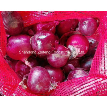 2016 New Crop Fresh Red Onion with High Quality